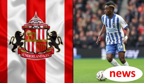 Gần 120 triệu Romano: Sunderland Dấu hiệu Adigra HWG! Tổng phí chuyển nhượng là 24 triệu euro